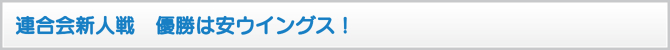 連合会新人戦 優勝は安ウイングス! 連合会新人戦 優勝は安ウイングス!