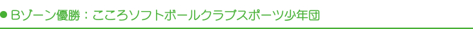 B�]�[���D���F������\�t�g�{�[���N���u�X�|�[�c���N�c